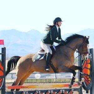 Meet your Posher, Taylor